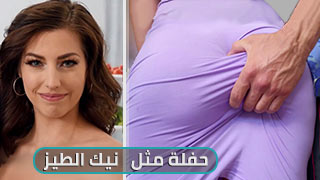 حفلة مثل نيك الطيز - XLXX - سكس مترجم